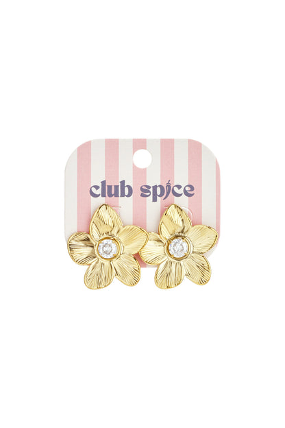 Stainless Steel Stud Earrings Flower Casual Daily Simple Series Women's jewelry