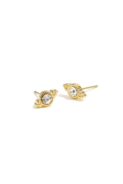 Stainless Steel Stud Earrings irregular shape Casual Daily Simple Series Women's jewelry